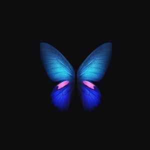 Meet your Posher, Tamara